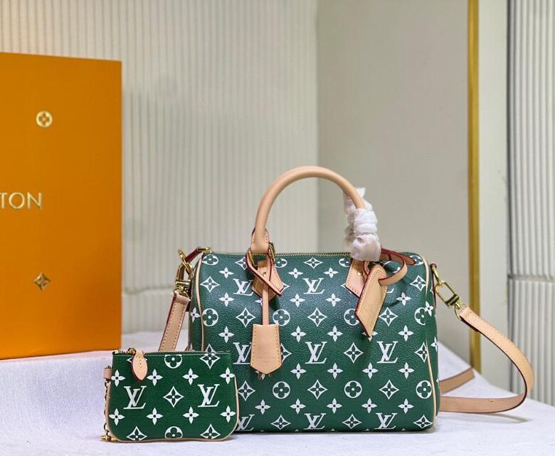 louis vuitton bag 40