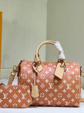 louis vuitton bag 41