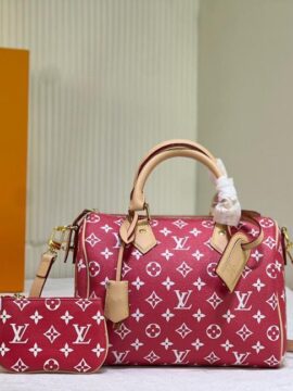 louis vuitton bag 42