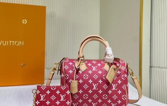 louis vuitton bag 42