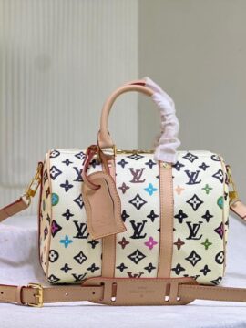 louis vuitton bag 47