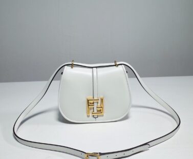 Fendi Bag 21