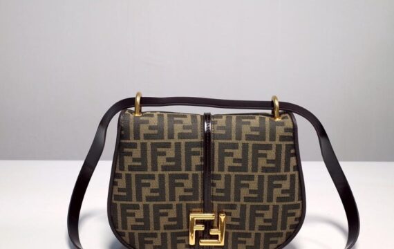 Fendi bag 23