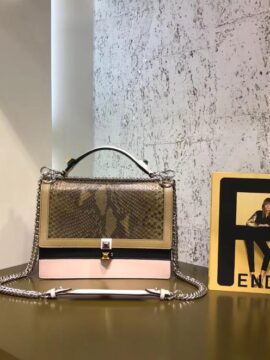 Fendi Bag 47