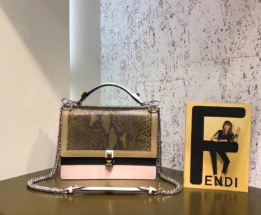 Fendi Bag 47