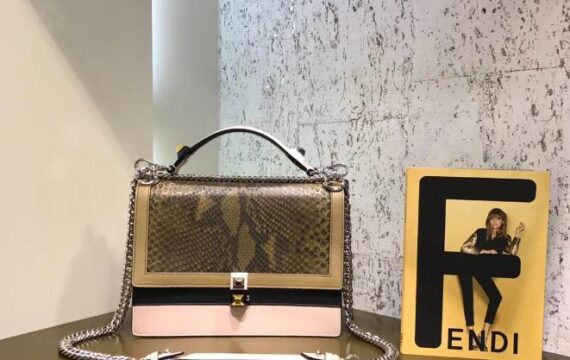 Fendi Bag 47