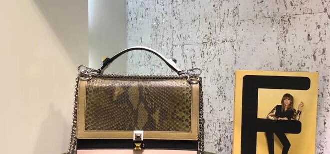 Fendi Bag 47