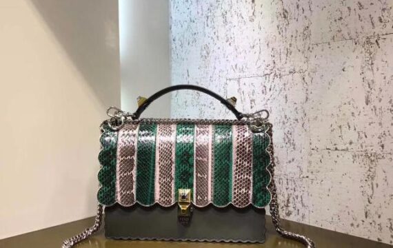 Fendi Bag 49