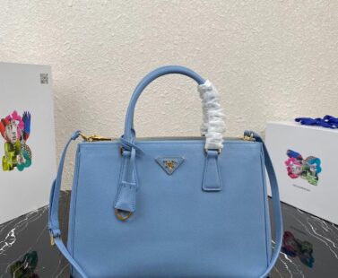 Prada Bag 38