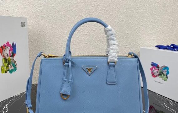 Prada Bag 38