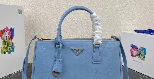 Prada Bag 38