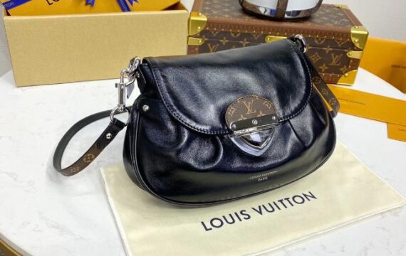 louis vuitton bag 86