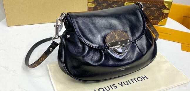 louis vuitton bag 86