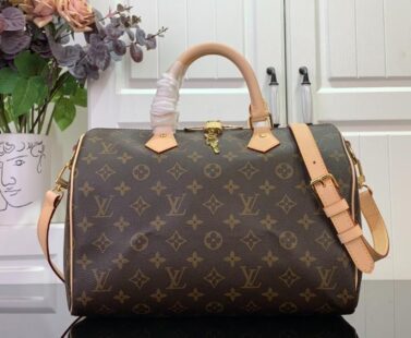 louis vuitton bag 96
